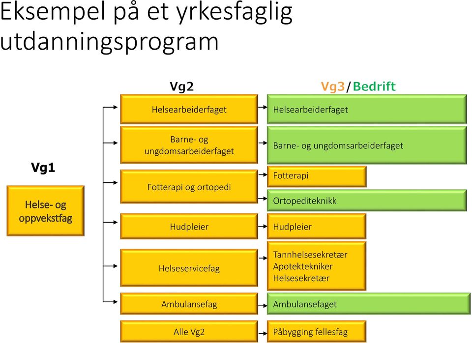 Barne- og ungdomsarbeiderfaget Fotterapi Ortopediteknikk Hudpleier Helseservicefag