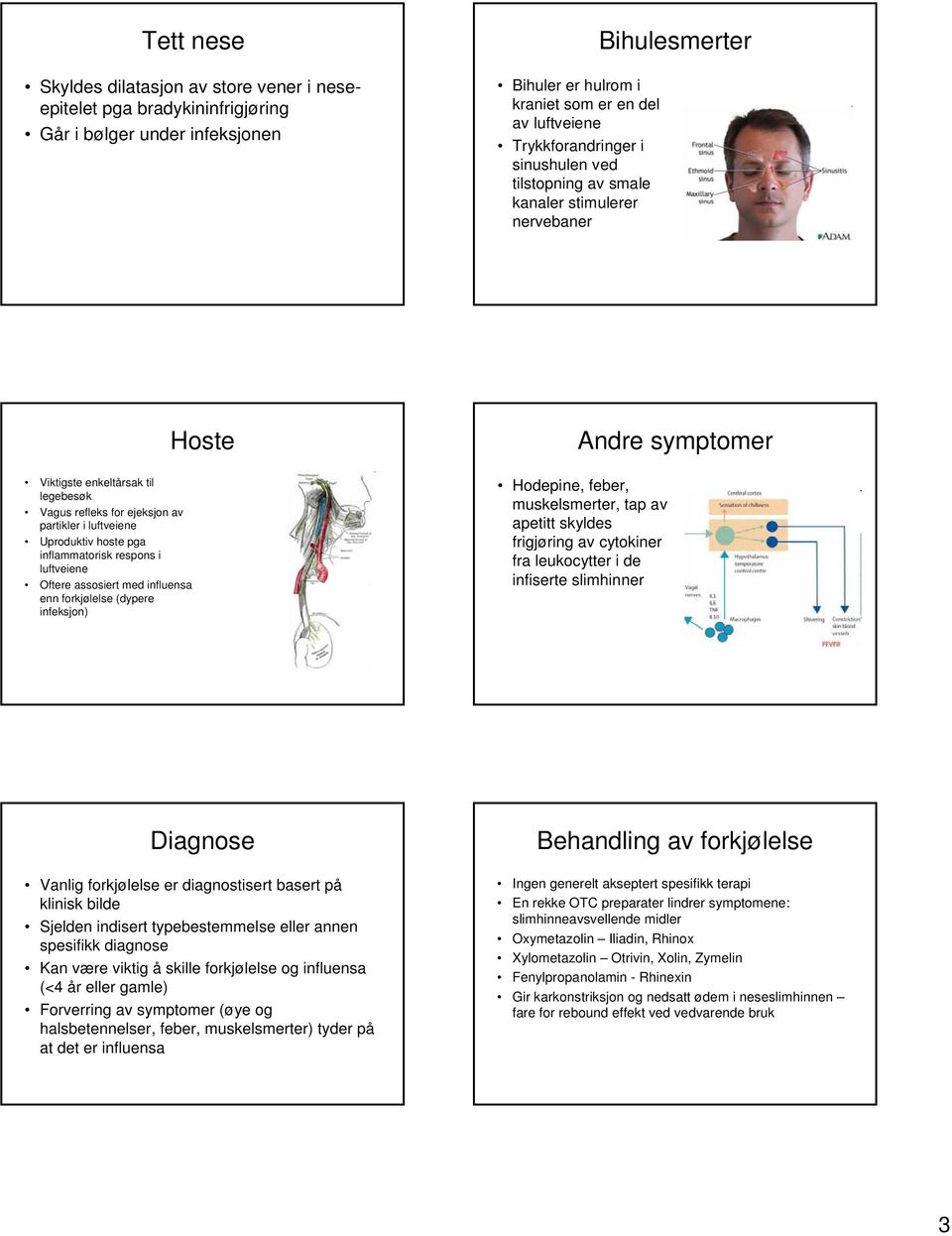 inflammatorisk respons i luftveiene Oftere assosiert med influensa enn forkjølelse (dypere infeksjon) Hoste Andre symptomer Hodepine, feber, muskelsmerter, tap av apetitt skyldes frigjøring av