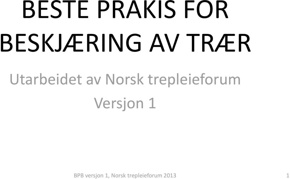 trepleieforum Versjon 1 BPB