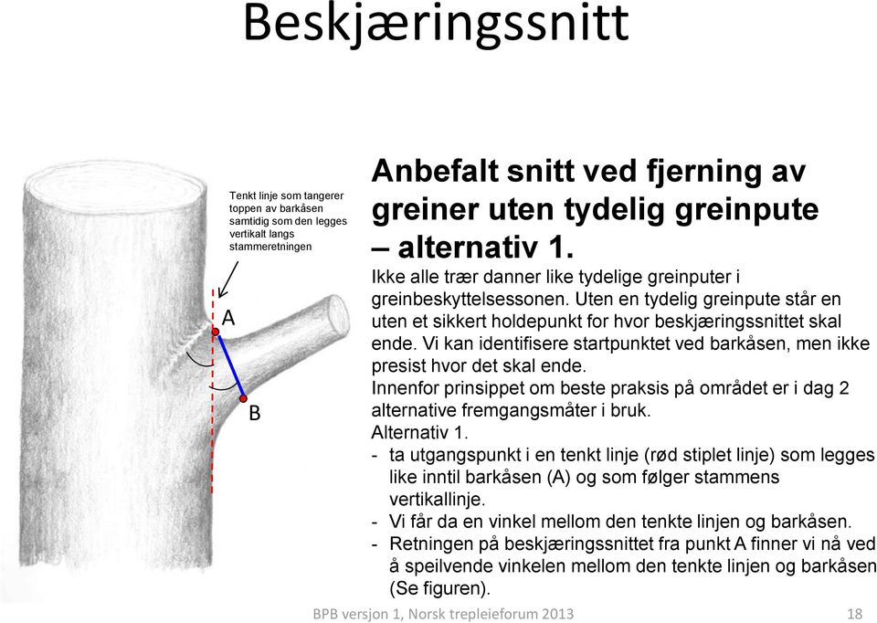 Vi kan identifisere startpunktet ved barkåsen, men ikke presist hvor det skal ende. Innenfor prinsippet om beste praksis på området er i dag 2 alternative fremgangsmåter i bruk. Alternativ 1.