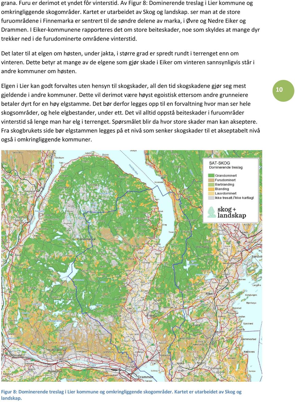 I Eiker-kommunene rapporteres det om store beiteskader, noe som skyldes at mange dyr trekker ned i de furudominerte områdene vinterstid.