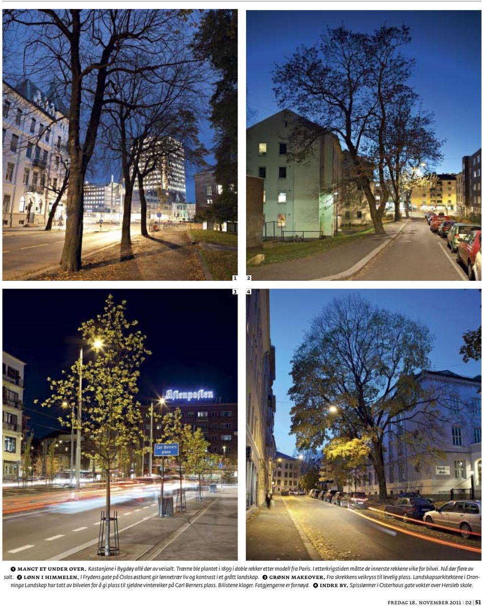 I Frydens gate på Oslos østkant gir lønnetrær liv og kontrast i et grått landskap. (3) Grønn makeover. Fra skrekkens veikryss til levelig plass.