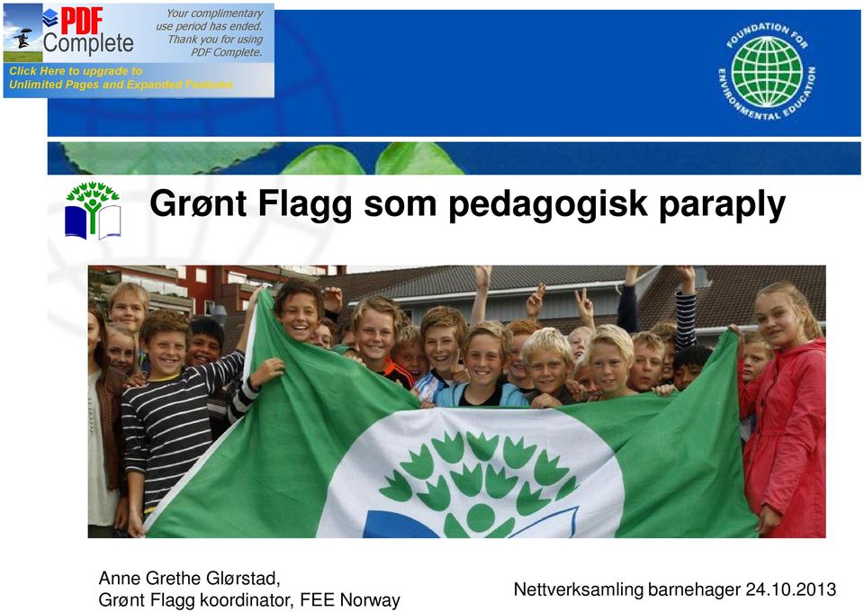 Grønt Flagg koordinator, FEE