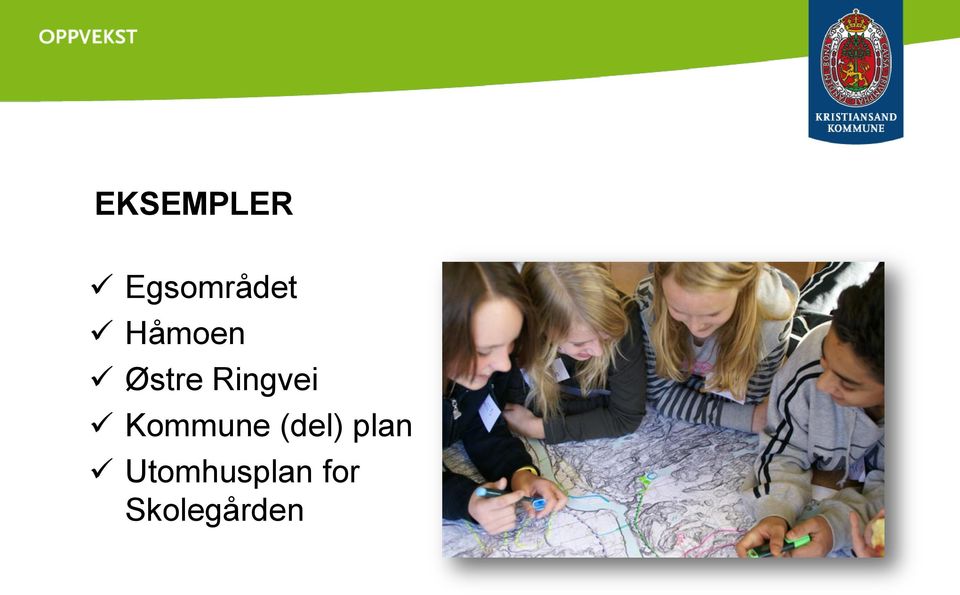 Kommune (del) plan