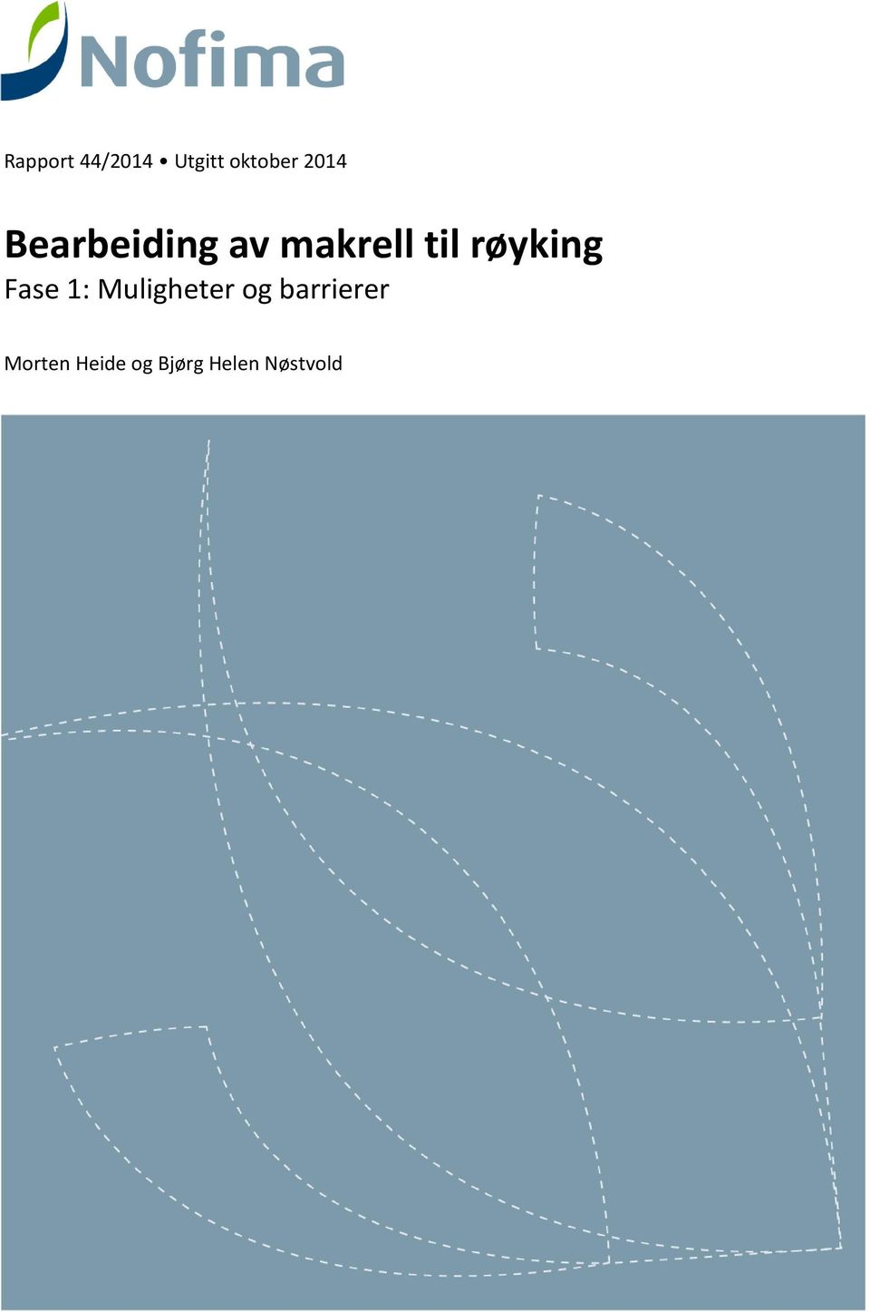 røyking Fase 1: Muligheter og