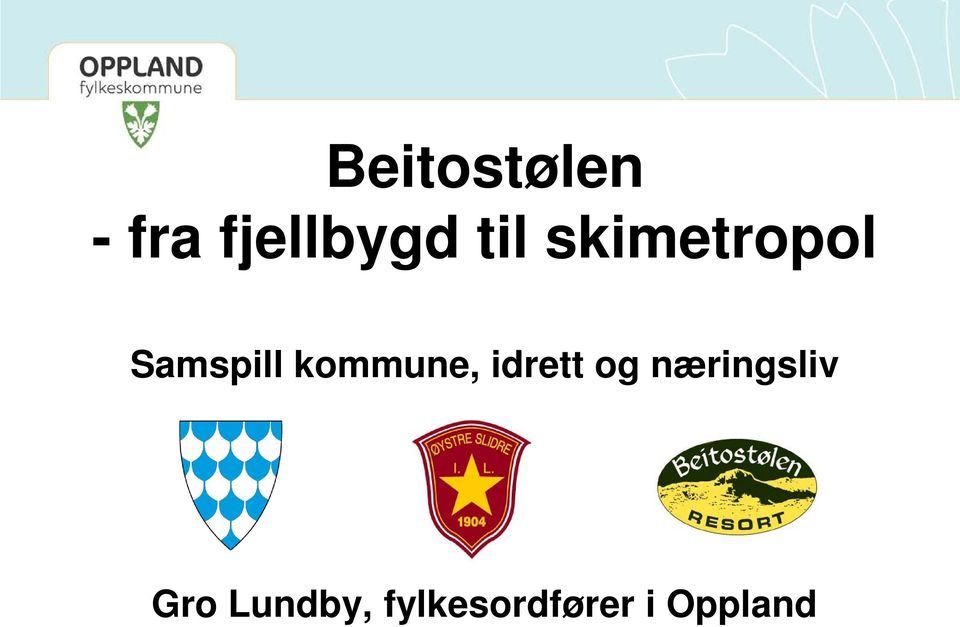 kommune, idrett og næringsliv