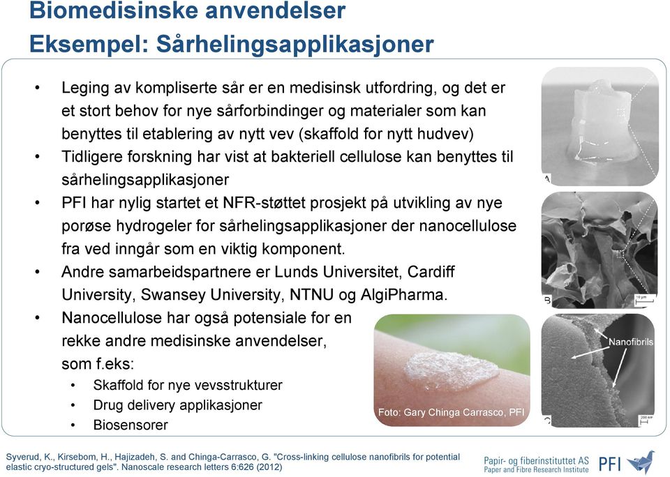 utvikling av nye porøse hydrogeler for sårhelingsapplikasjoner der nanocellulose fra ved inngår som en viktig komponent.