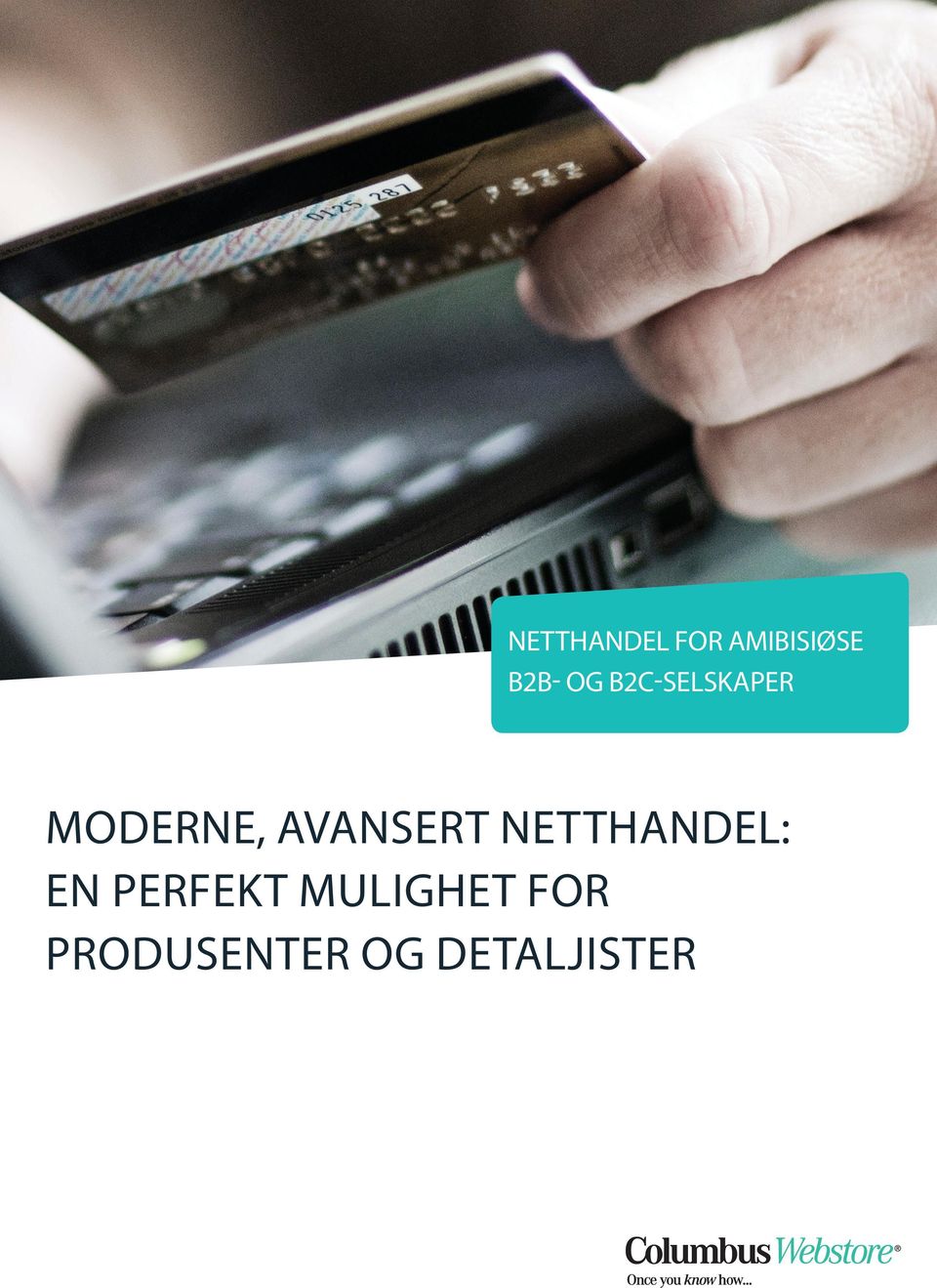 AVANSERT NETTHANDEL: EN PERFEKT