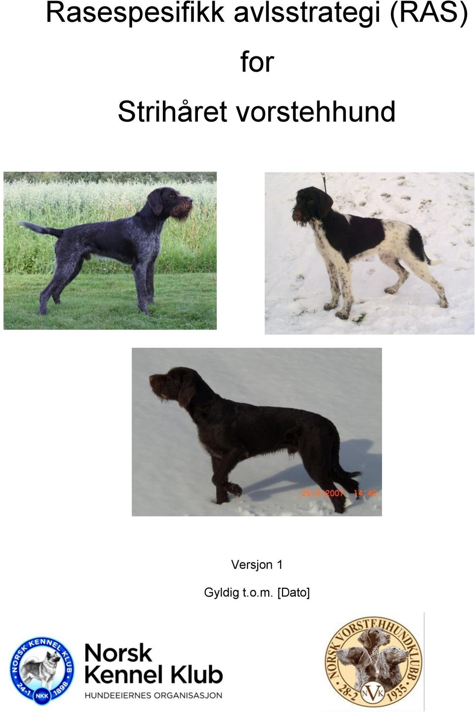 Strihåret vorstehhund