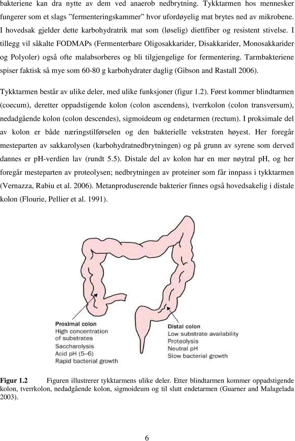 I tillegg vil såkalte FODMAPs (Fermenterbare Oligosakkarider, Disakkarider, Monosakkarider og Polyoler) også ofte malabsorberes og bli tilgjengelige for fermentering.