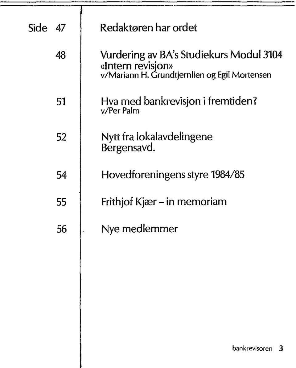 rundtjernlien og Egil Mortensen 51 Hva med bankrevisjon i fremtiden?