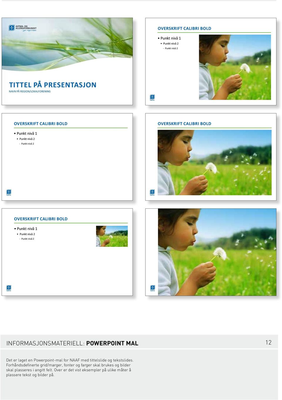 informasjonsmateriell: powerpoint mal 12 Det er laget en Powerpoint-mal for NAAF med tittelslide og tekstslides.
