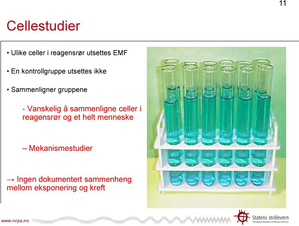 Vanskelig å sammenligne celler i reagensrør og et helt