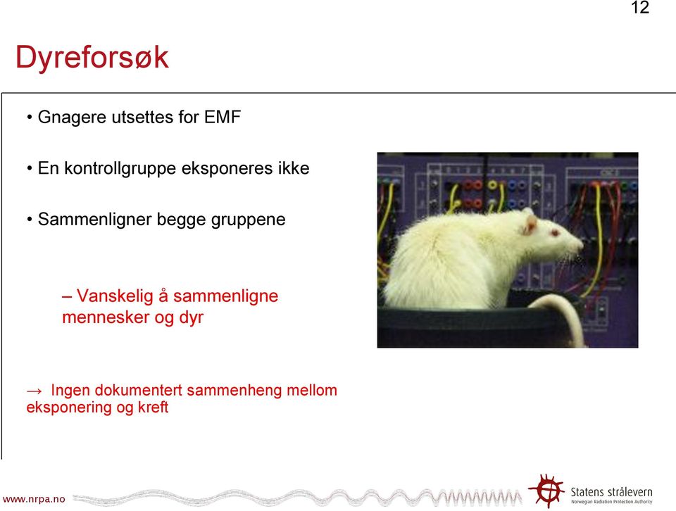 gruppene Vanskelig å sammenligne mennesker og dyr