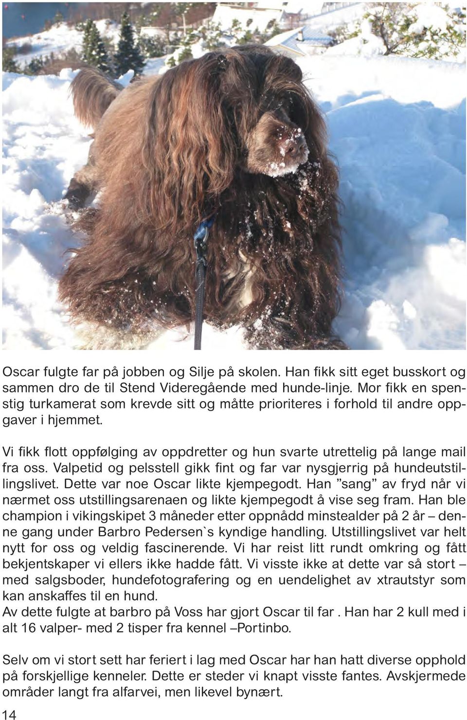 Valpetid og pelsstell gikk fint og far var nysgjerrig på hundeutstillingslivet. Dette var noe Oscar likte kjempegodt.