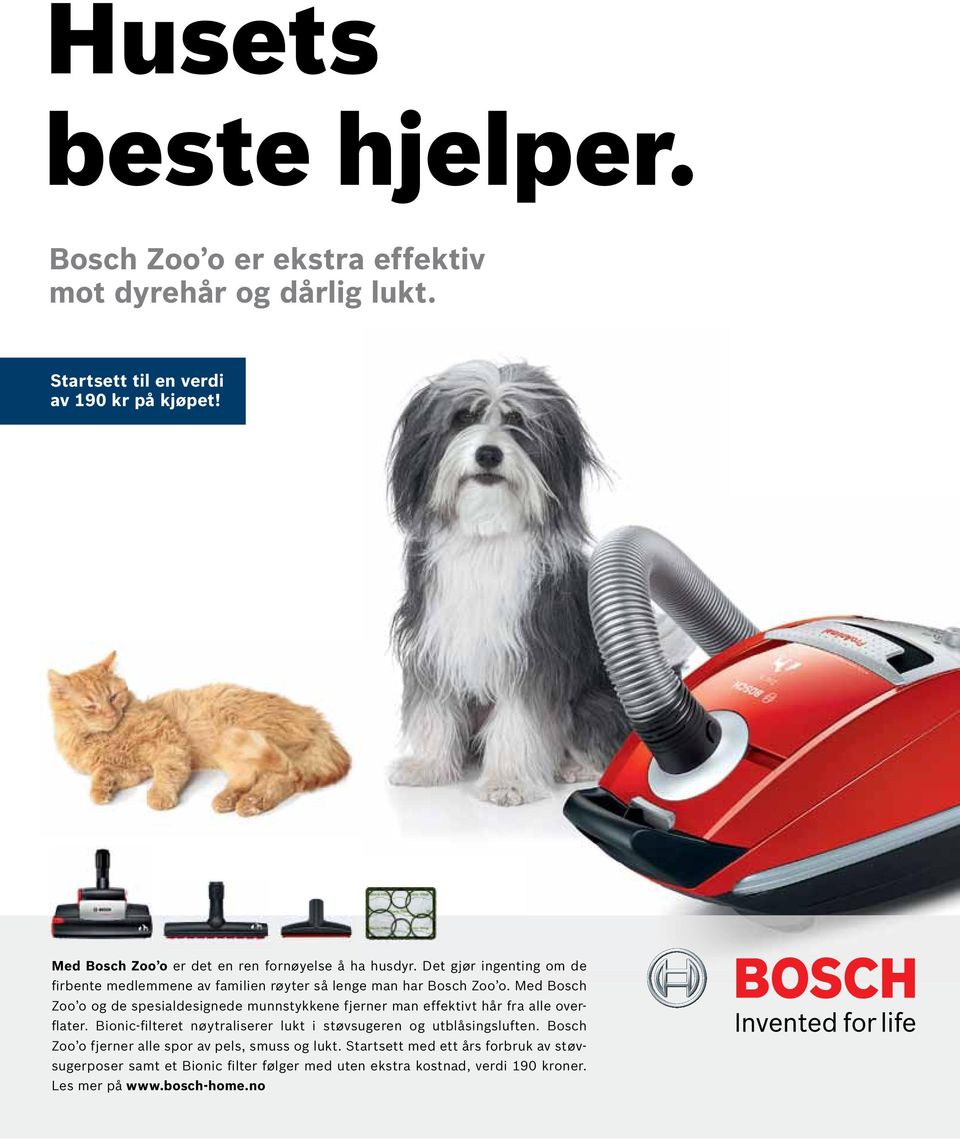 Med Bosch Zoo o og de spesialdesignede munnstykkene fjerner man effektivt hår fra alle overflater.