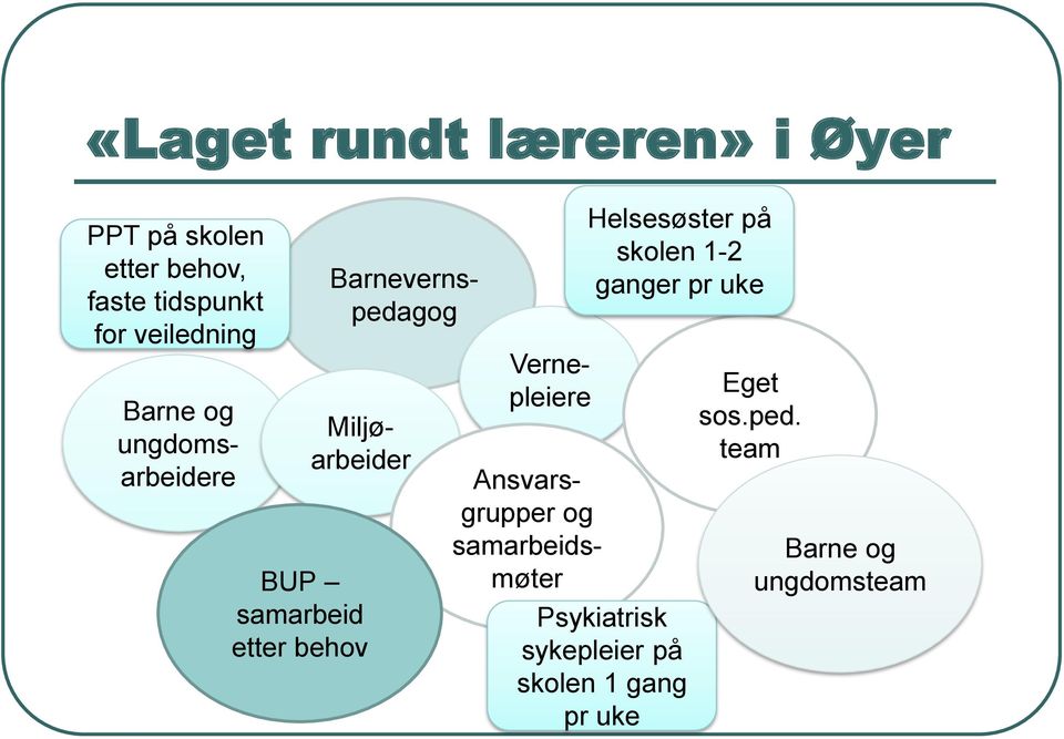 ungdomsarbeidere Vernepleiere Ansvarsgrupper og samarbeidsmøter Helsesøster på skolen