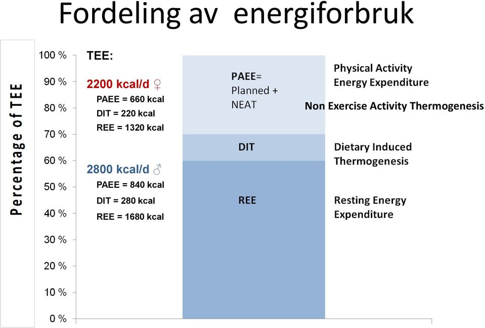 Non Exercise Activity Thermogenesis 2800