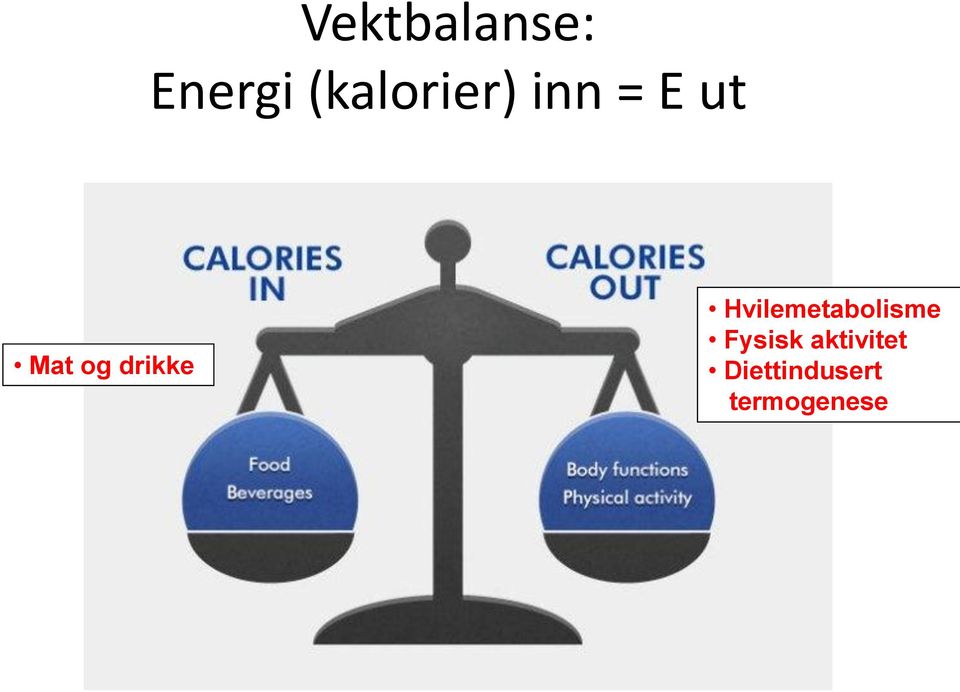 drikke Hvilemetabolisme