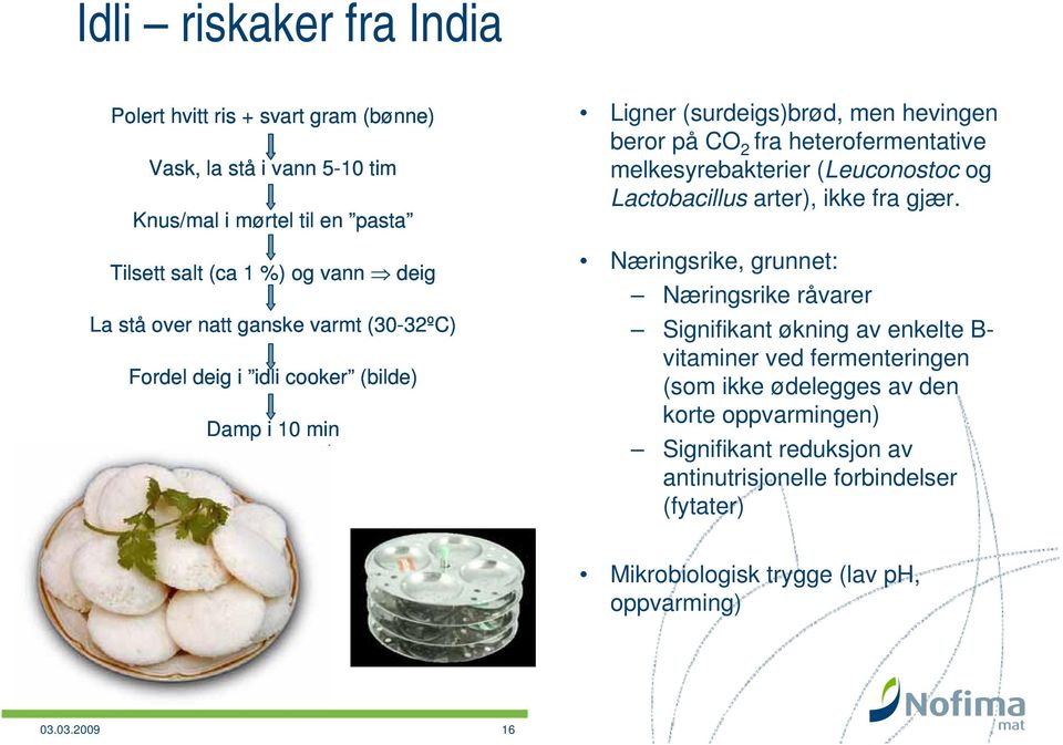 melkesyrebakterier (Leuconostoc og Lactobacillus arter), ikke fra gjær.