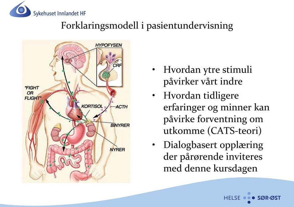 og minner kan påvirke forventning om utkomme (CATS-teori)