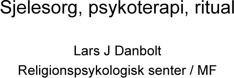 Lars J Danbolt