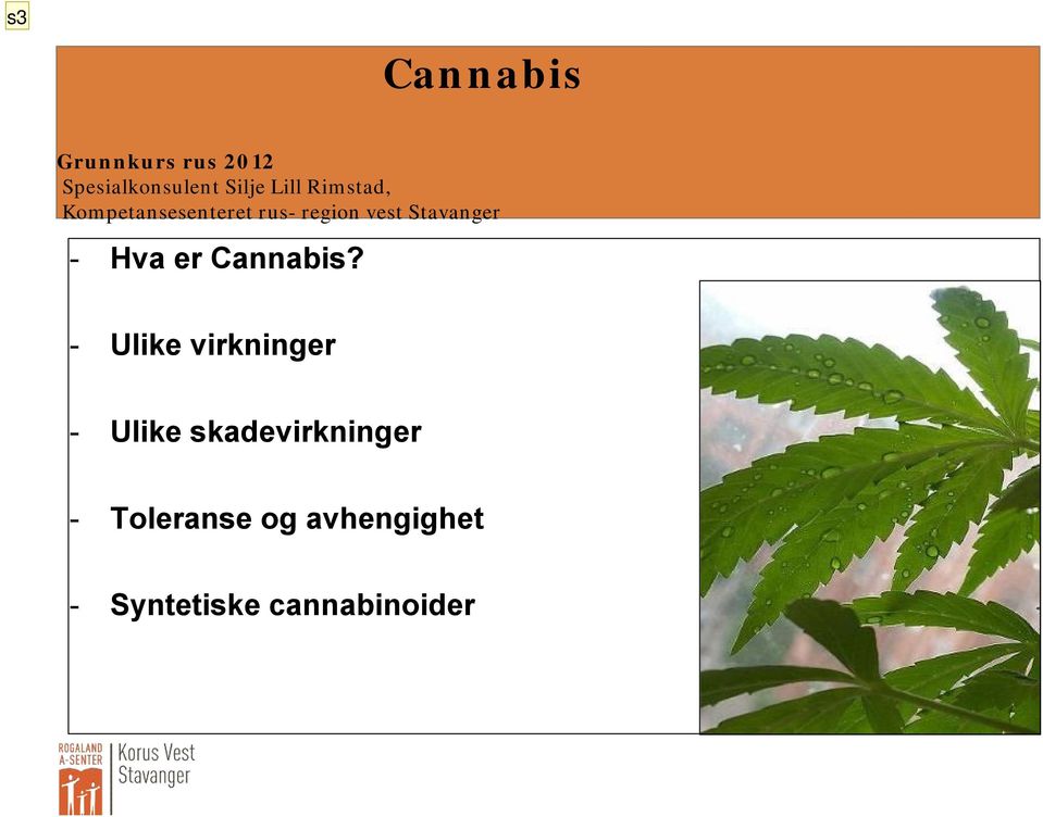 Stavanger - Hva er Cannabis?