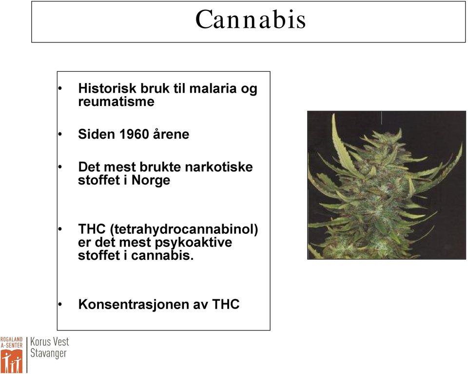 stoffet i Norge THC (tetrahydrocannabinol) er det