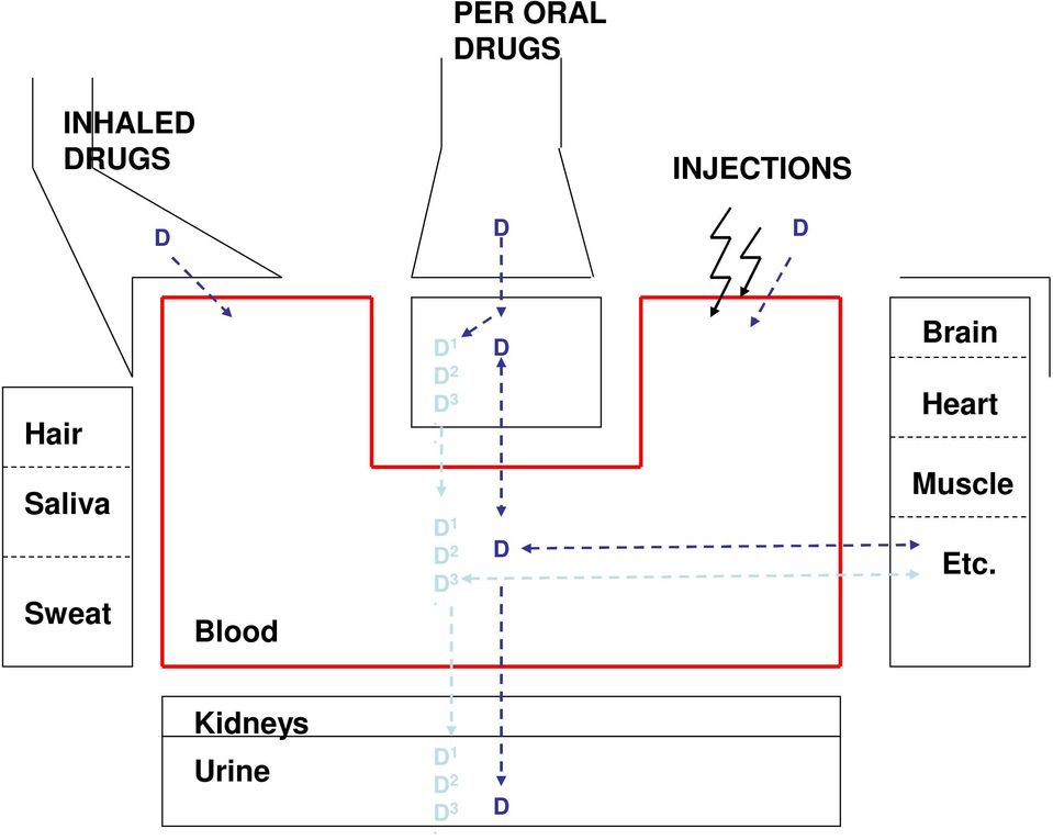 . D Brain Heart Saliva Sweat Blood D 1