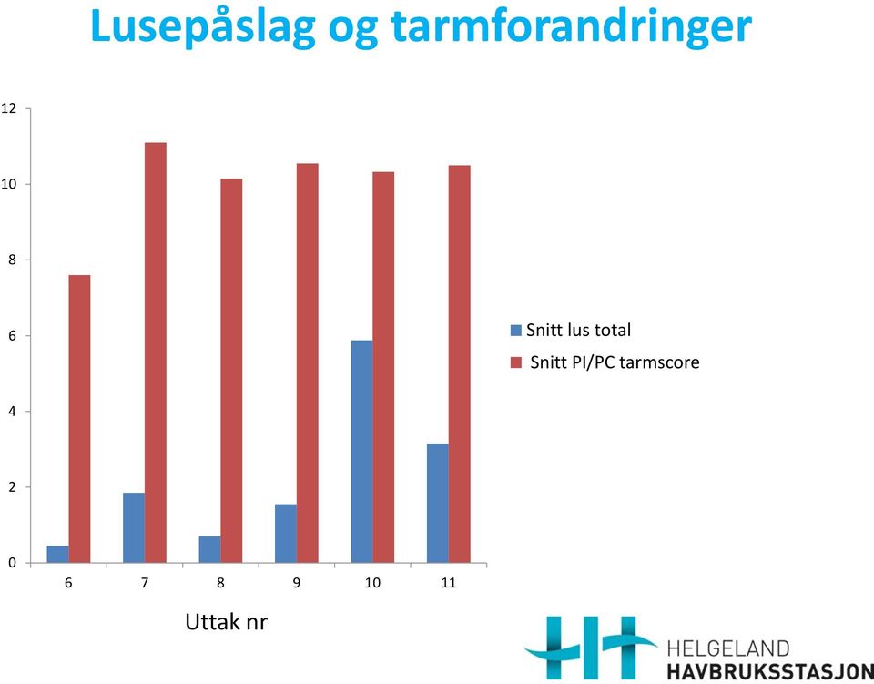 Snitt lus total Snitt