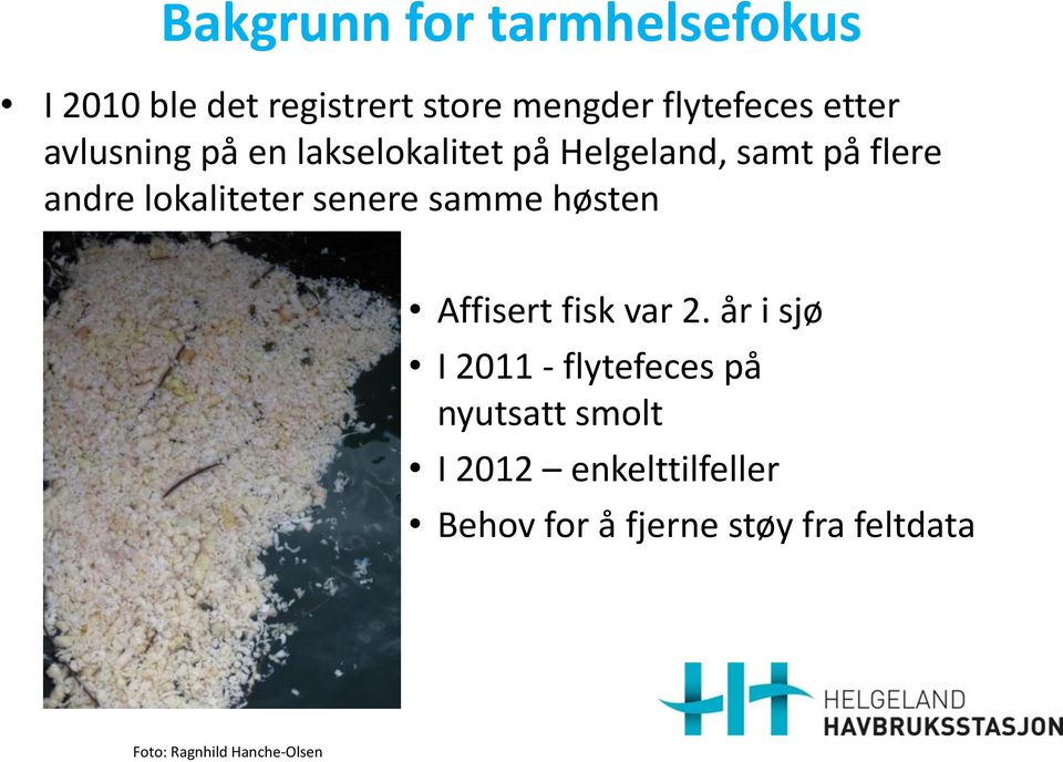 senere samme høsten Affisert fisk var.