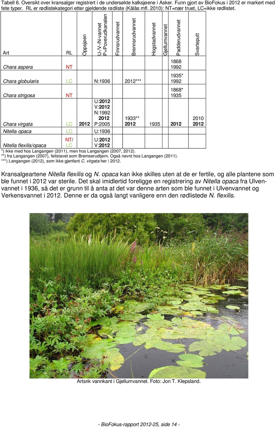 Art RL Oppsjøen U-/V-/N-vannet P=Poverudkanalen Chara aspera NT 1868 1992 Chara globularis LC N:1936 2012*** 1935* 1992 Chara strigosa NT 1868* 1935 Chara virgata LC 2012 U:2012 V:2012 N:1992 2012