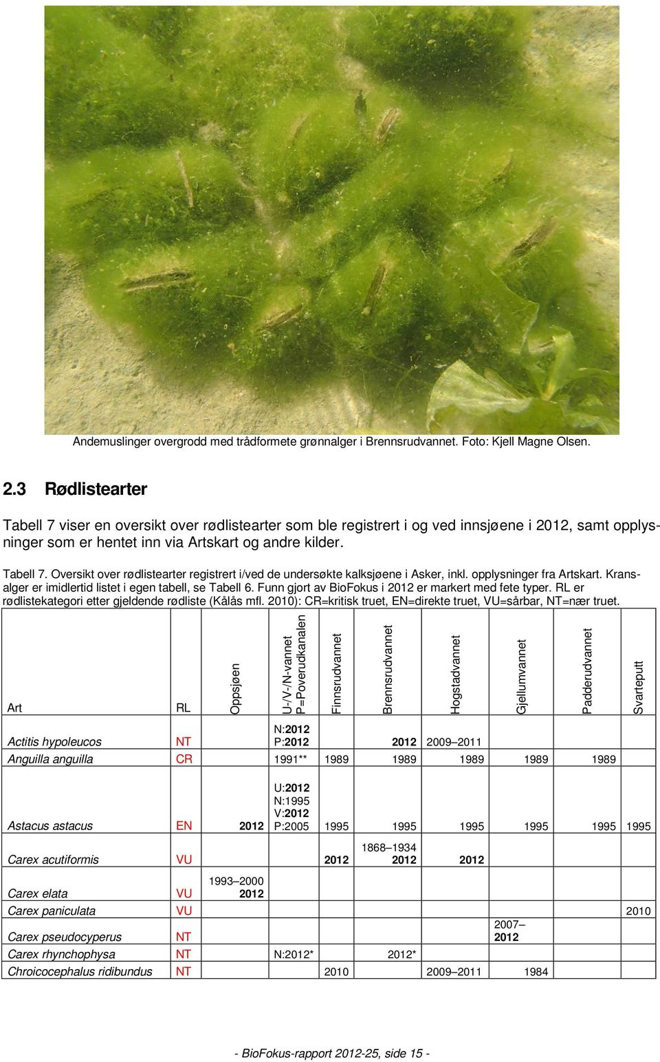 opplysninger fra Artskart. Kransalger er imidlertid listet i egen tabell, se Tabell 6. Funn gjort av BioFokus i 2012 er markert med fete typer.