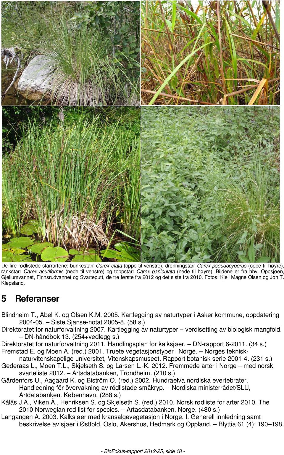 5 Referanser Blindheim T., Abel K. og Olsen K.M. 2005. Kartlegging av naturtyper i Asker kommune, oppdatering 2004-05. Siste Sjanse-notat 2005-8. (58 s.) Direktoratet for naturforvaltning 2007.