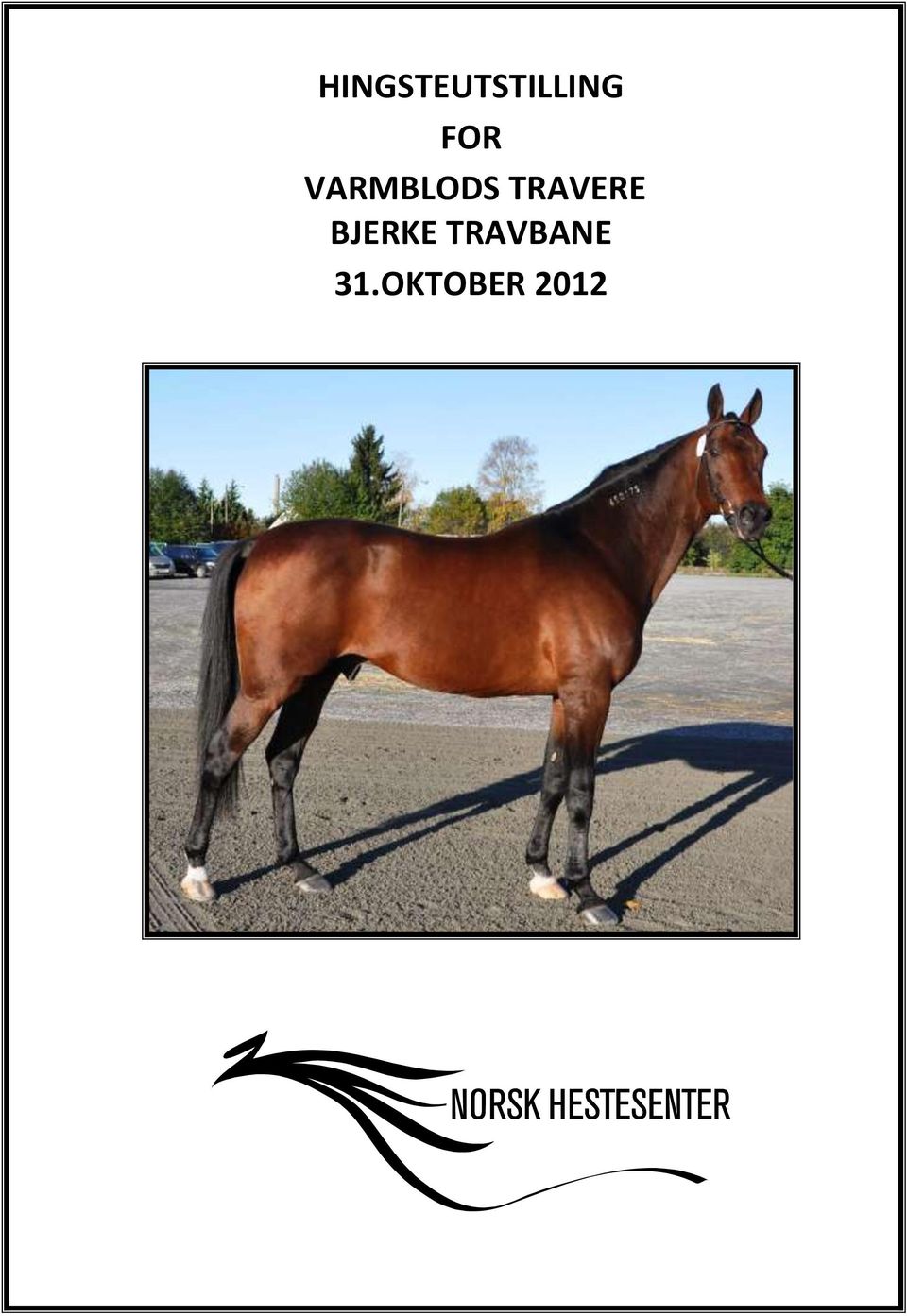 TRAVERE BJERKE