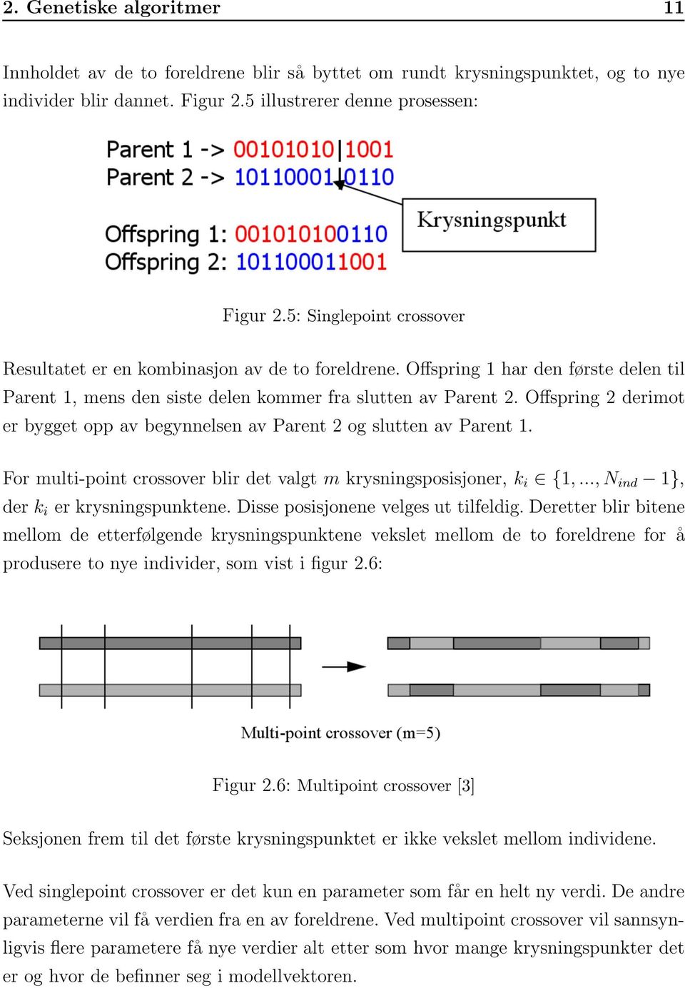 Offspring 2 derimot er bygget opp av begynnelsen av Parent 2 og slutten av Parent 1. For multi-point crossover blir det valgt m krysningsposisjoner, k i {1,..., N ind 1}, der k i er krysningspunktene.