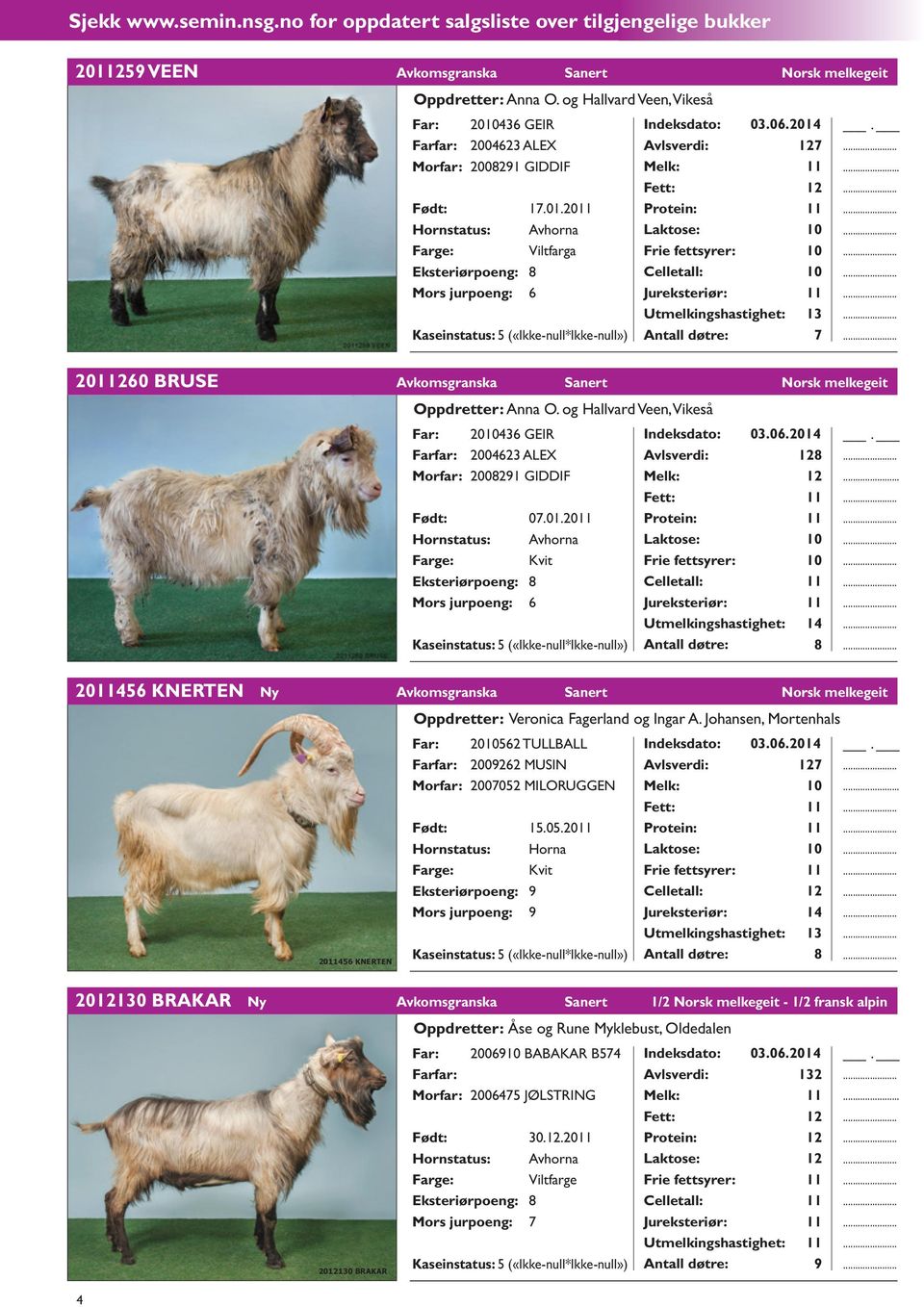 20260 BRUSE Avkomsgranska Sanert Norsk melkegeit Oppdretter: Anna O. og Hallvard Veen, Vikeså Far: 20436 GEIR 2004623 ALEX Morfar: 2008291 GIDDIF Født: 07.01.