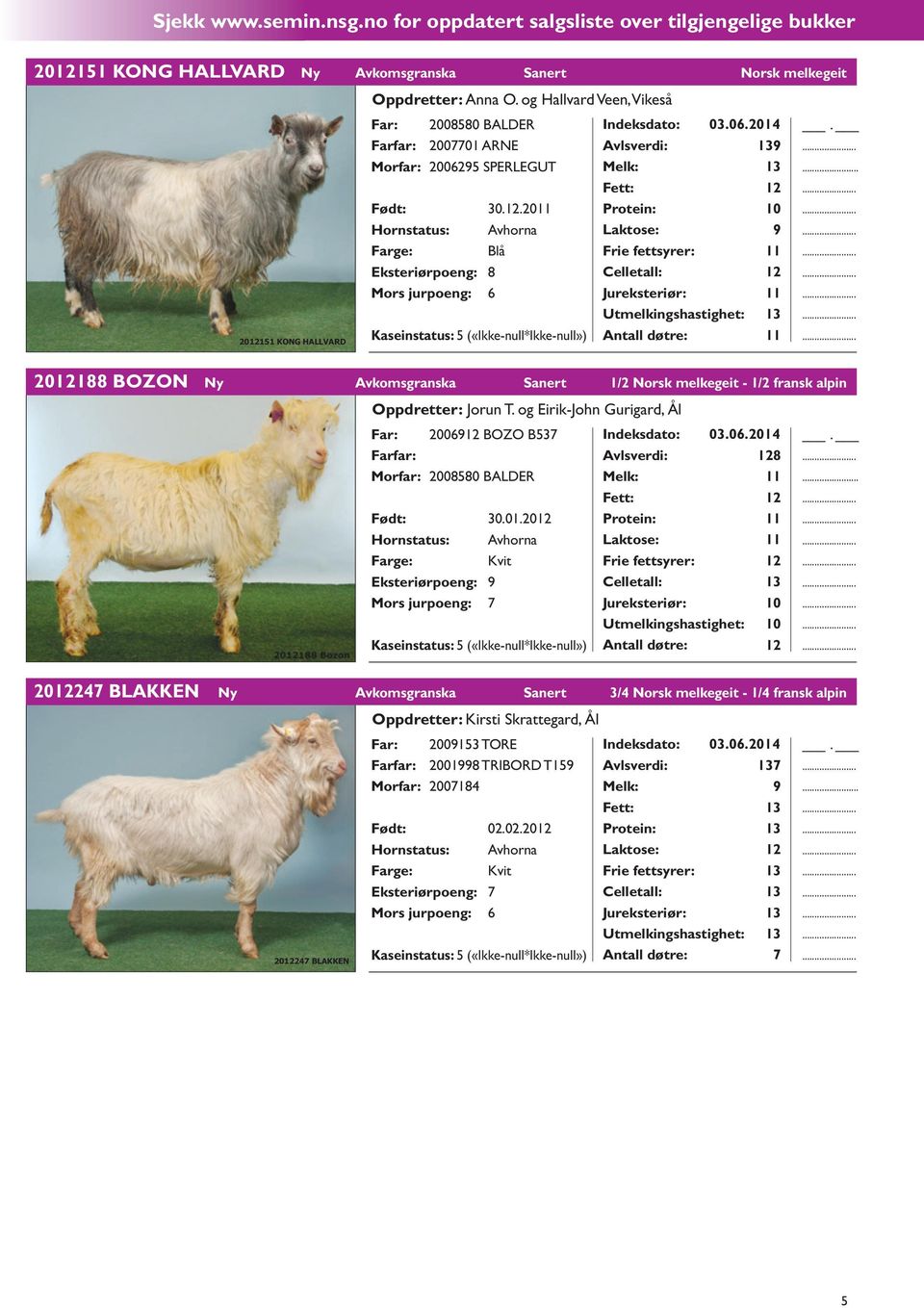 .20 Hornstatus: Avhorna 9 Blå Frie fettsyrer: Mors jurpoeng: 6 Utmelkingshastighet: 20151 KONG HALLVARD 20188 BOZON Ny Avkomsgranska Sanert 1/2 Norsk melkegeit - 1/2 fransk alpin Oppdretter: Jorun T.