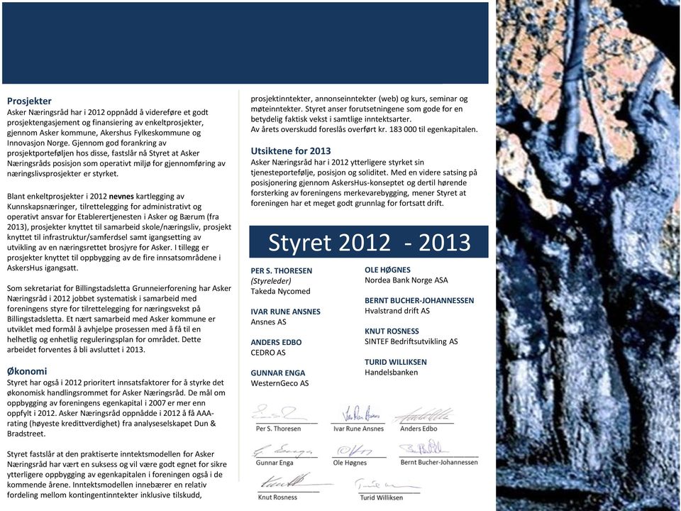 Blant enkeltprosjekter i 2012 nevnes kartlegging av Kunnskapsnæringer, tilrettelegging for administrativt og operativt ansvar for Etablerertjenesten i Asker og Bærum (fra 2013), prosjekter knyttet