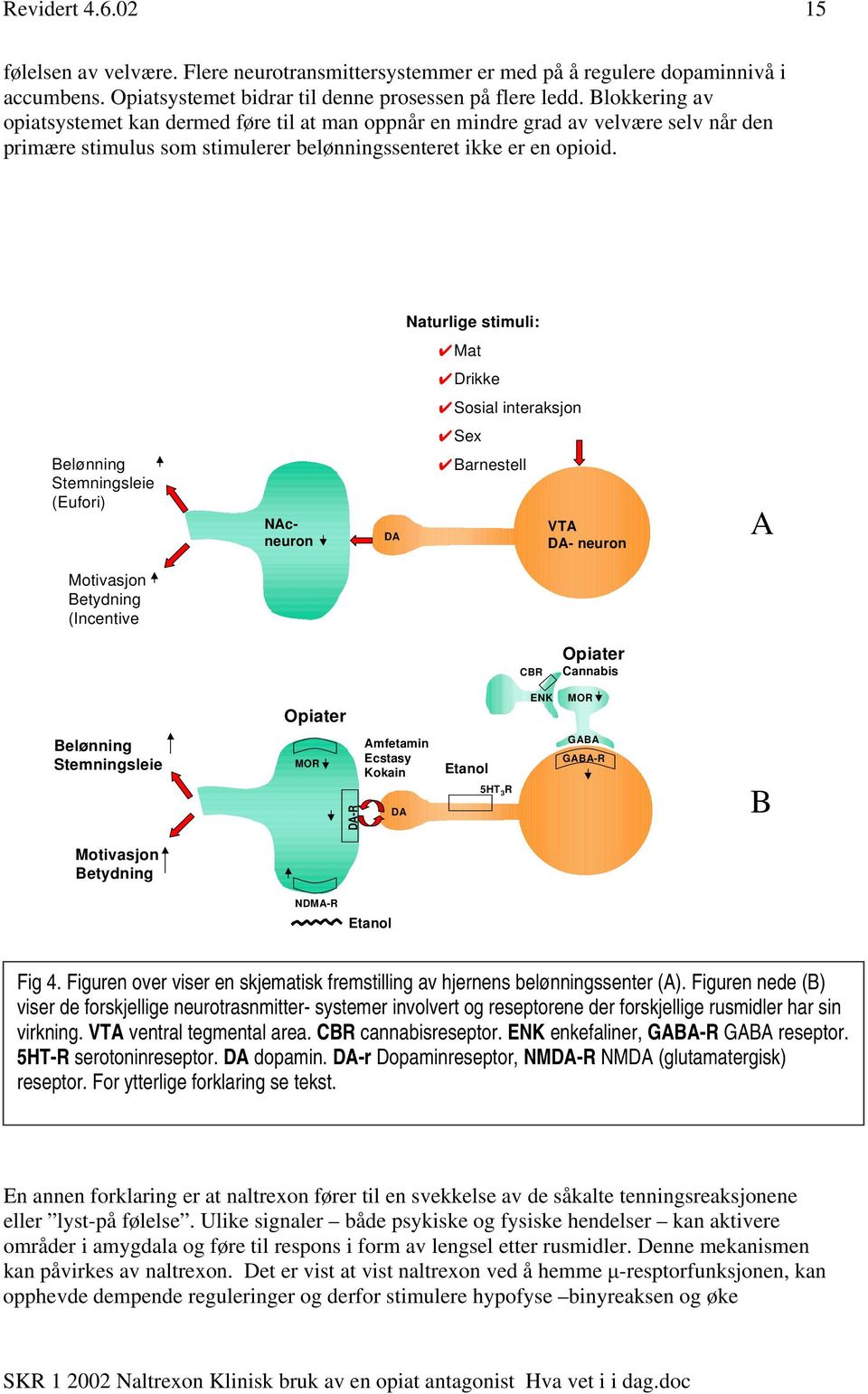 Naturlige stimuli: Mat Drikke Sosial interaksjon Sex Belønning Stemningsleie (Eufori) NAcneuron DA Barnestell VTA DA- neuron A Motivasjon Betydning (Incentive salience) CBR Opiater Cannabis Opiater