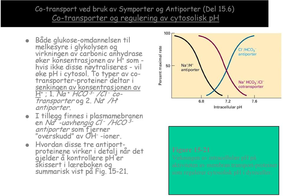 nøytraliseres - vil øke ph i cytosol. To typer av cotransporter-proteiner deltar i senkingen av konsentrasjonen av H + ; 1. Na + HCO 3- /Cl - cotransporter og 2. Na + /H + antiporter.