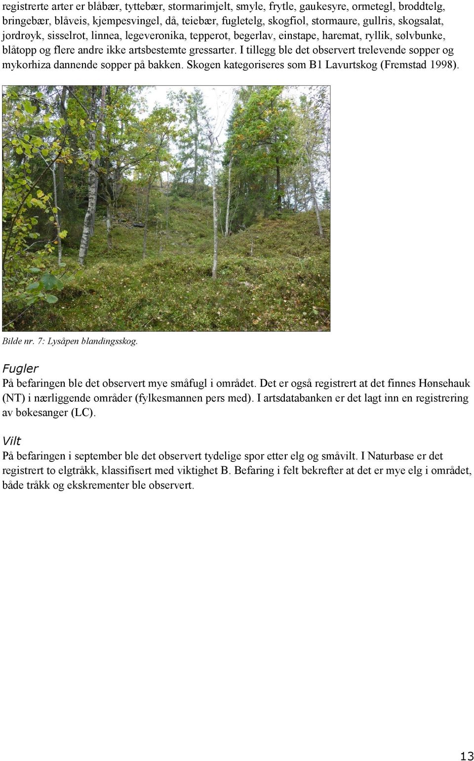 I tillegg ble det observert trelevende sopper og mykorhiza dannende sopper på bakken. Skogen kategoriseres som B1 Lavurtskog (Fremstad 1998). Bilde nr. 7: Lysåpen blandingsskog.