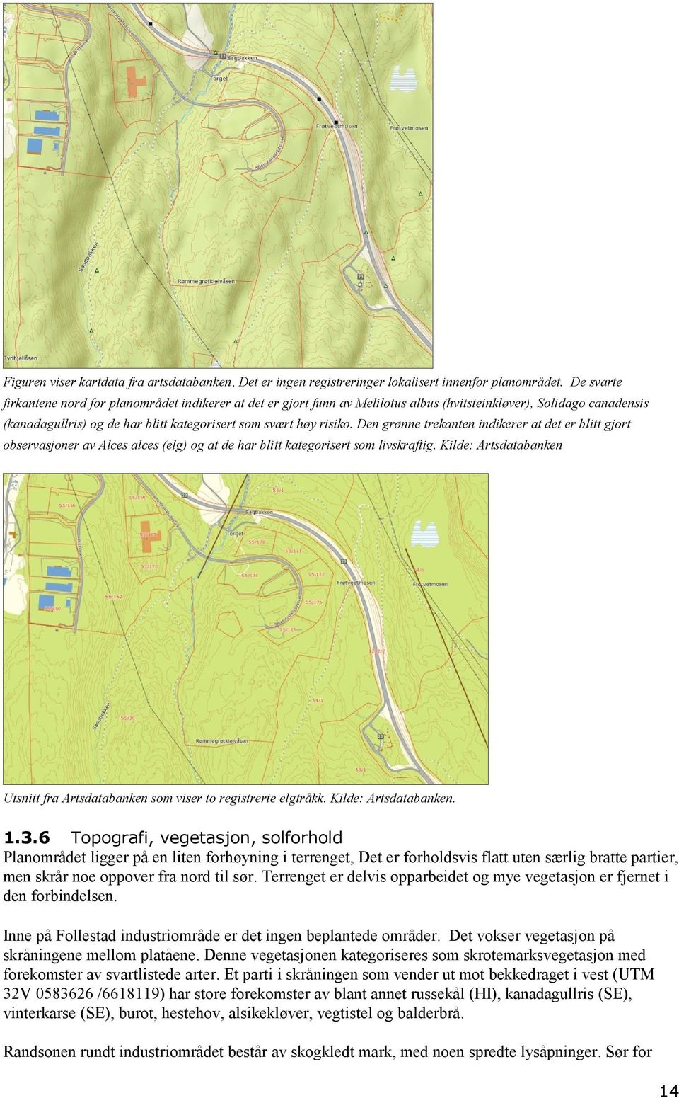 Den grønne trekanten indikerer at det er blitt gjort observasjoner av Alces alces (elg) og at de har blitt kategorisert som livskraftig.