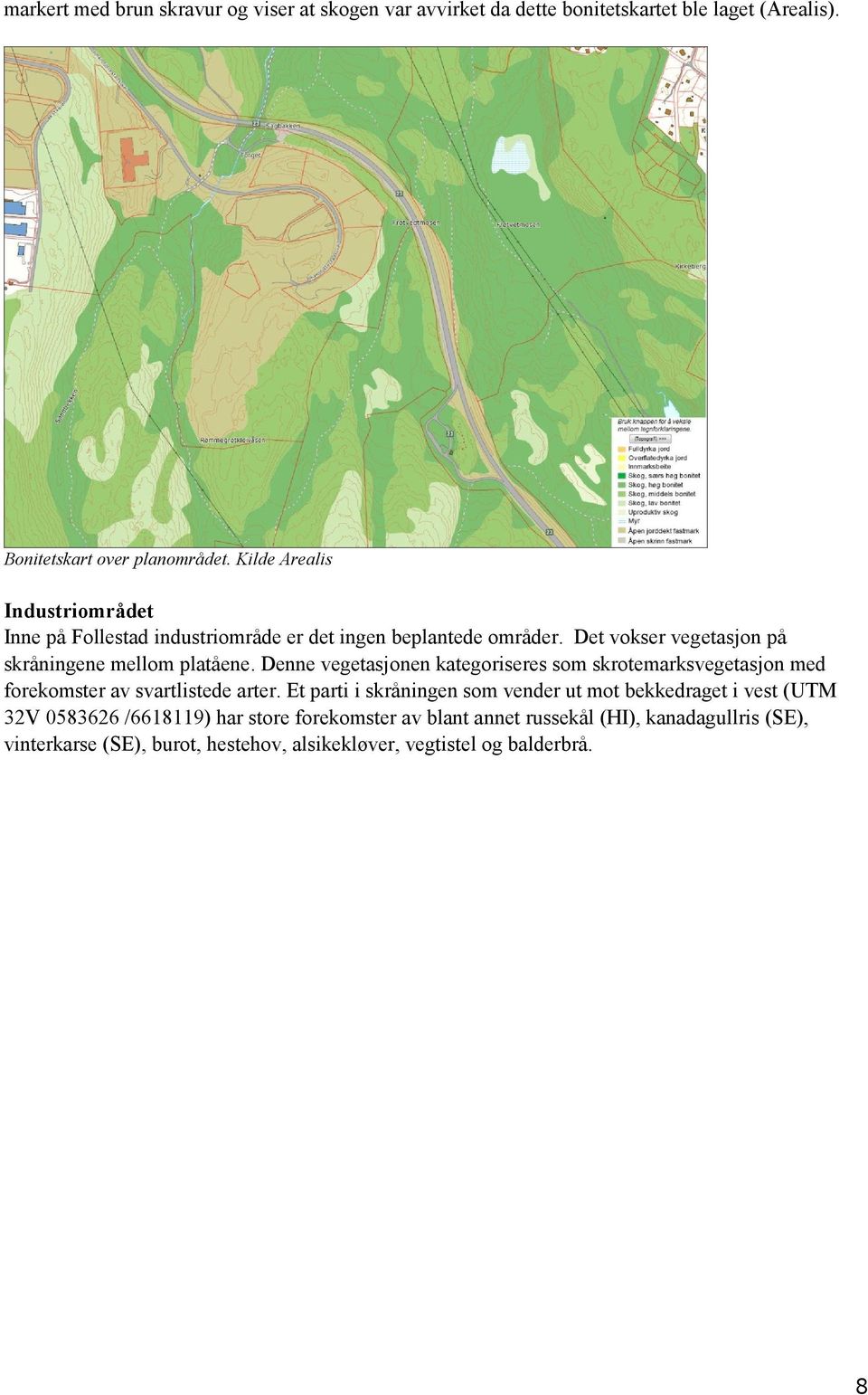 Denne vegetasjonen kategoriseres som skrotemarksvegetasjon med forekomster av svartlistede arter.