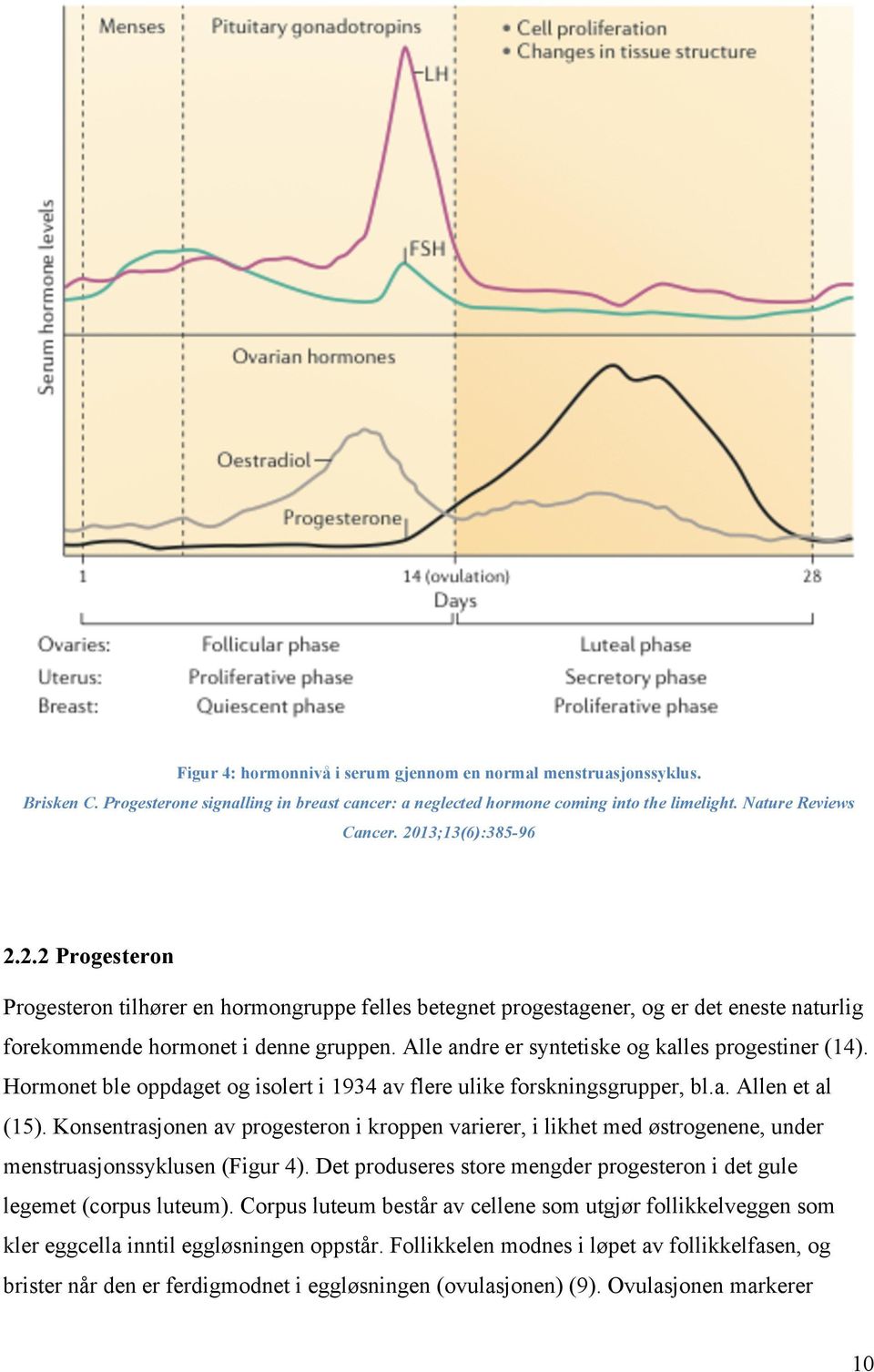 Alle andre er syntetiske og kalles progestiner (14). Hormonet ble oppdaget og isolert i 1934 av flere ulike forskningsgrupper, bl.a. Allen et al (15).