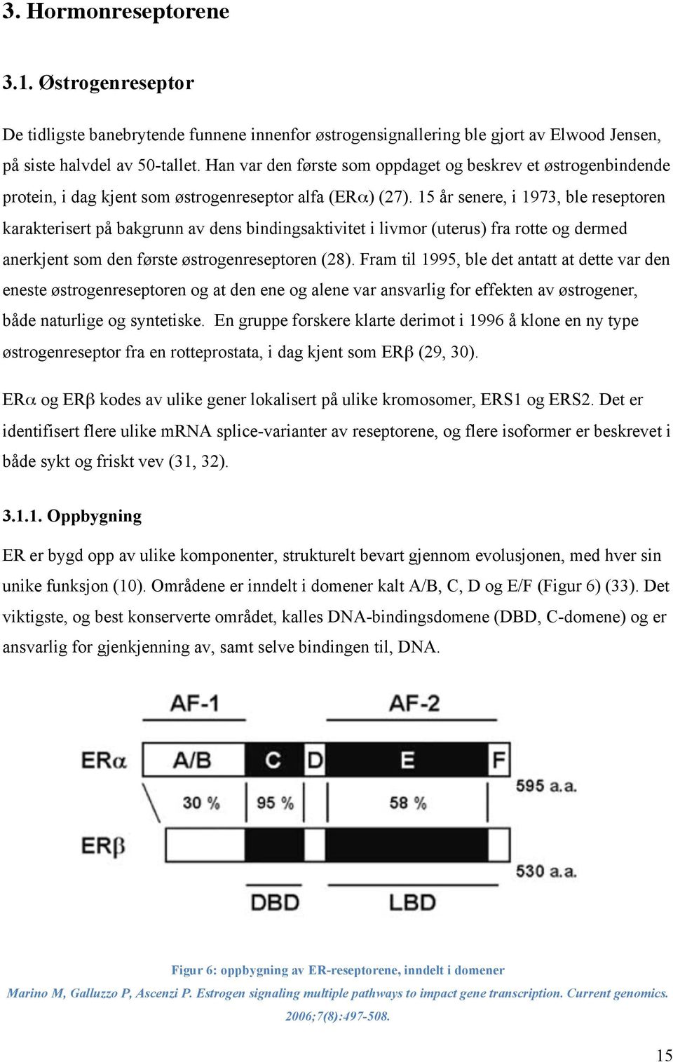 15 år senere, i 1973, ble reseptoren karakterisert på bakgrunn av dens bindingsaktivitet i livmor (uterus) fra rotte og dermed anerkjent som den første østrogenreseptoren (28).