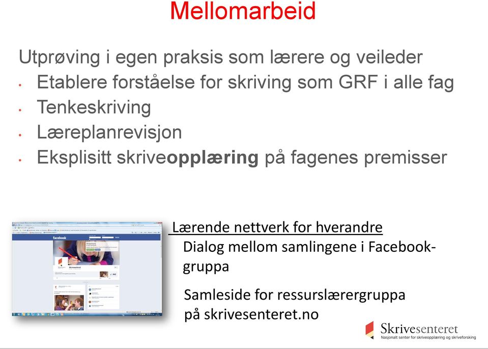 skriveopplæring på fagenes premisser Vi skal være Lærende nettverk for hverandre