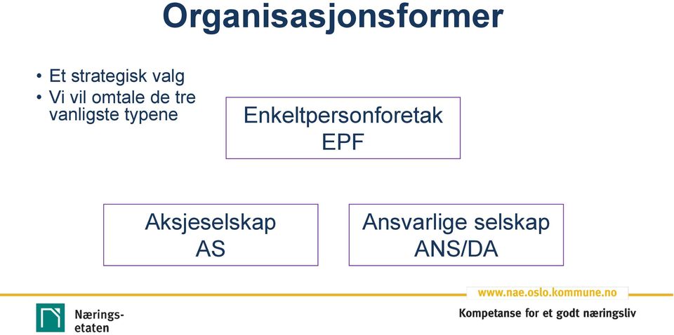 typene Enkeltpersonforetak EPF