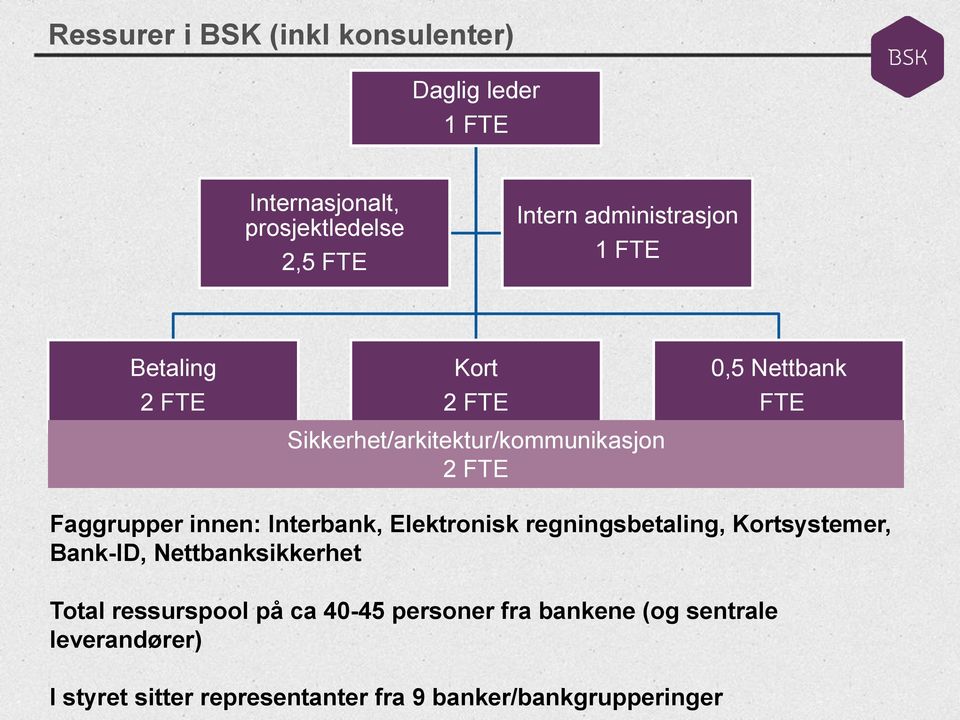 Faggrupper innen: Interbank, Elektronisk regningsbetaling, Kortsystemer, Bank-ID, Nettbanksikkerhet Total