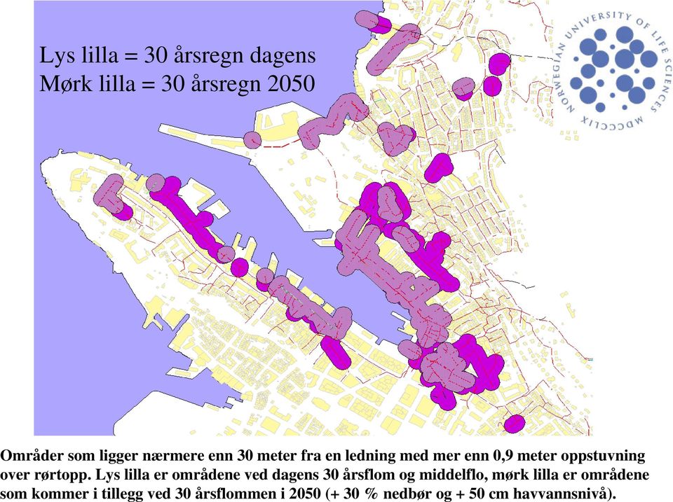 Lys lilla er områdene ved dagens 30 årsflom og middelflo, mørk lilla er områdene